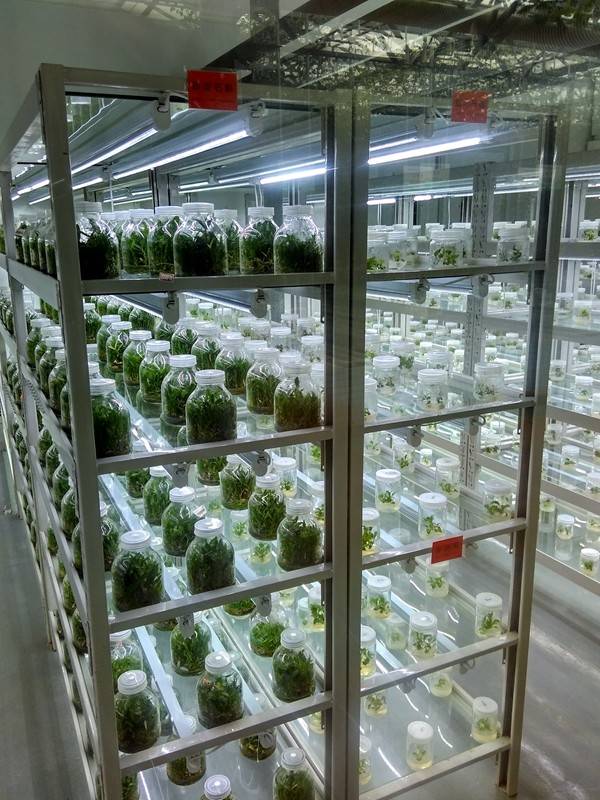 带上小蚁运动相机游潍坊（三）寿光菜博会