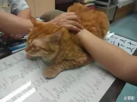 看魔兽影片,看魔兽应该知道的事