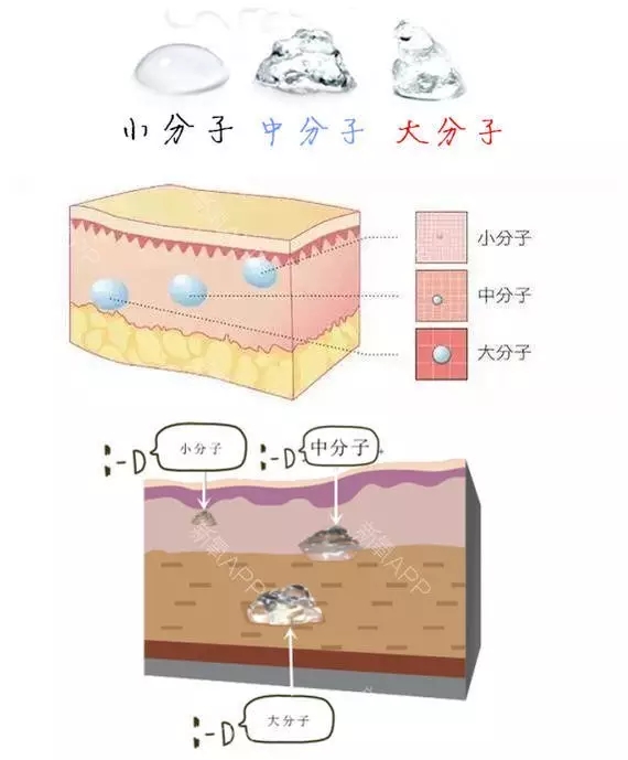 你们都去哪打玻尿酸 (人家都是在哪买的玻尿酸那么便宜)
