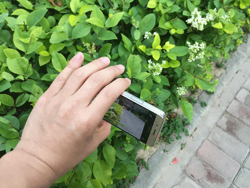 荣耀7i十天使用感受，拍照出众手感细腻