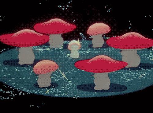 云南消防魔性视频提醒防吃菌中毒 (云南吃菌中毒搞笑视频)