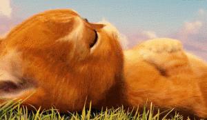 抹茶美妆现在怎么了,抹茶减肥视频教程