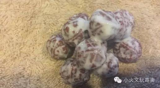 逗逼|大宝和金刚不能说的秘密！