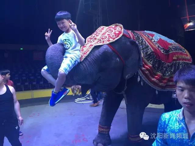 沈阳好玩的地方夏天推荐,沈阳夏天旅游推荐