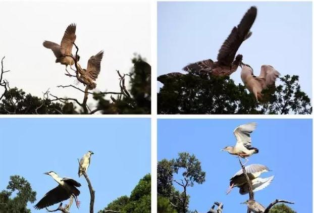 不能更赞：没想到你是这样的邹城