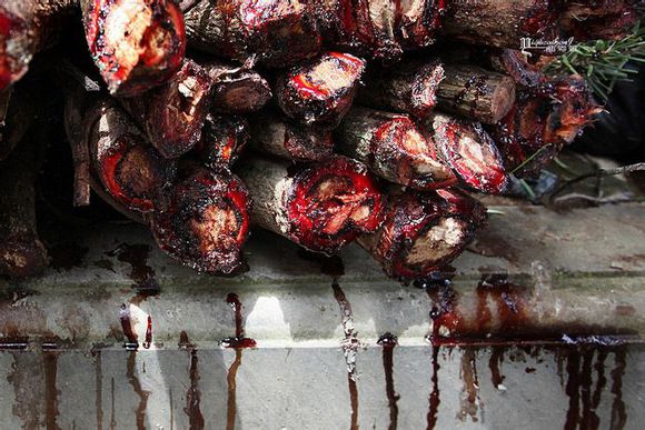 带血羊角手串好吗,戴血菩提子有什么好处