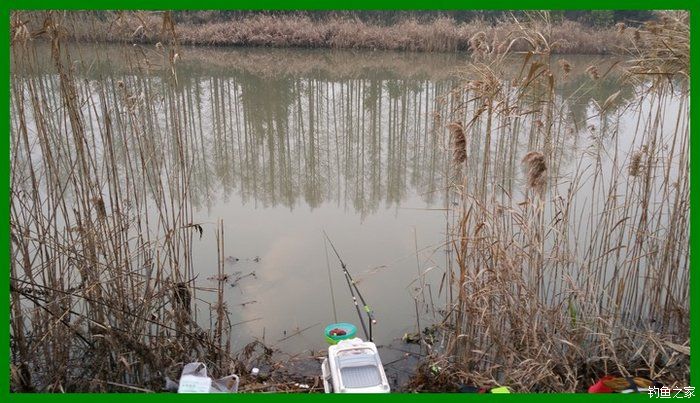 大鲫鱼大鱼,大鲫鱼大鲤鱼