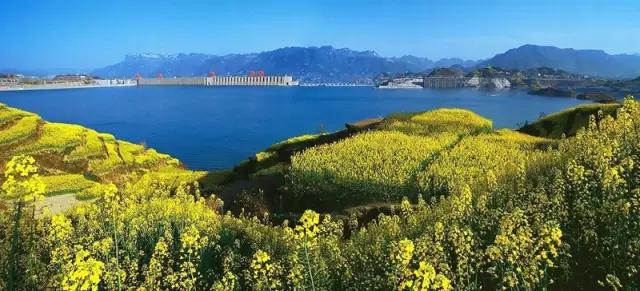 是谁说大湖北*片A**少，这11个绝对够你看！