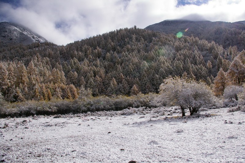 古道，细雨，暮雪-我的长坪沟半截秋色之旅