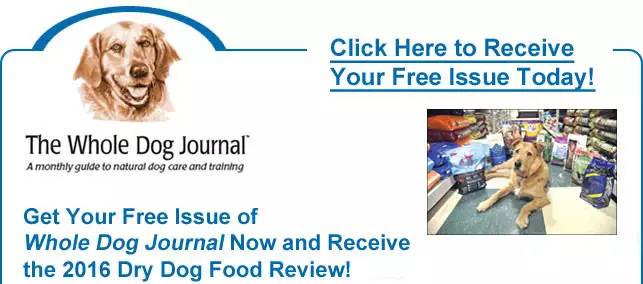 宠物便宜好养的狗粮推荐,几种顶级宠物狗粮怎么选