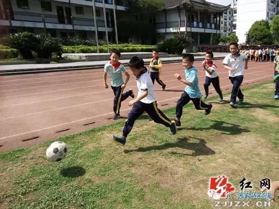 入选全国校园足球特色学校，贩卖岩蛙、青蛙被查，珍奇枯叶蝶现身，吃货大显身手......点击阅读更多张家界精彩新闻！