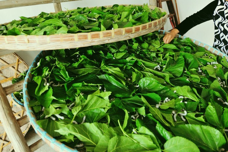 清水丝绵，比羽绒更温暖的记忆