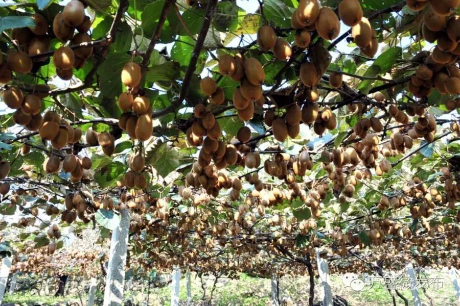 相信我,万盛还有你不知道的一面!