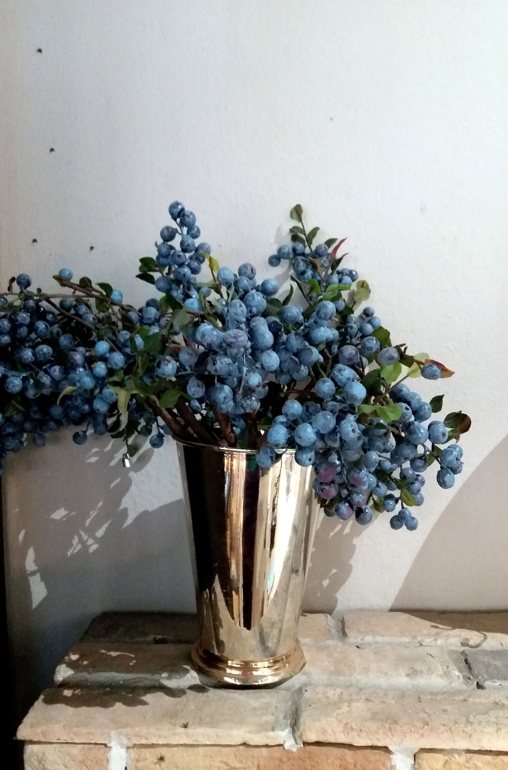 三星galaxyc5pro怎么样,三星galaxyc5可以用多久