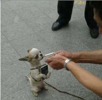 新手如何运营微店,如何培训微店运营