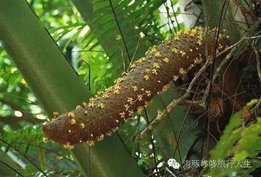 原来星球上还有这样的地方——哆哆的自然地理课！