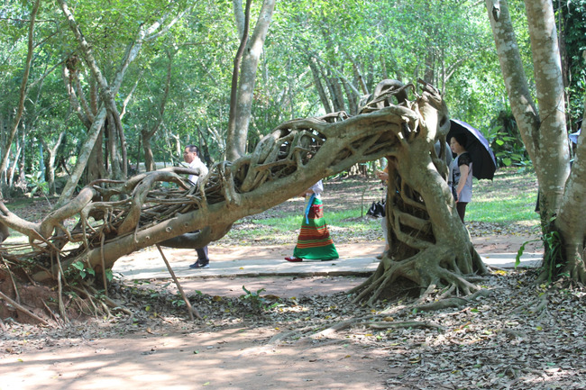 暑假云南旅游攻略8天,海南暑期云南旅游费用