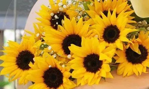 初中英语单词1600单词快速记忆法,这些英语单词你能记住吗