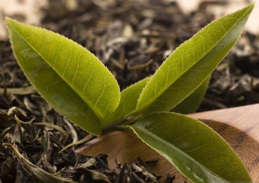 脸上有斑怎么办教你一招快速祛斑,了解长斑原因找到最佳祛斑方法