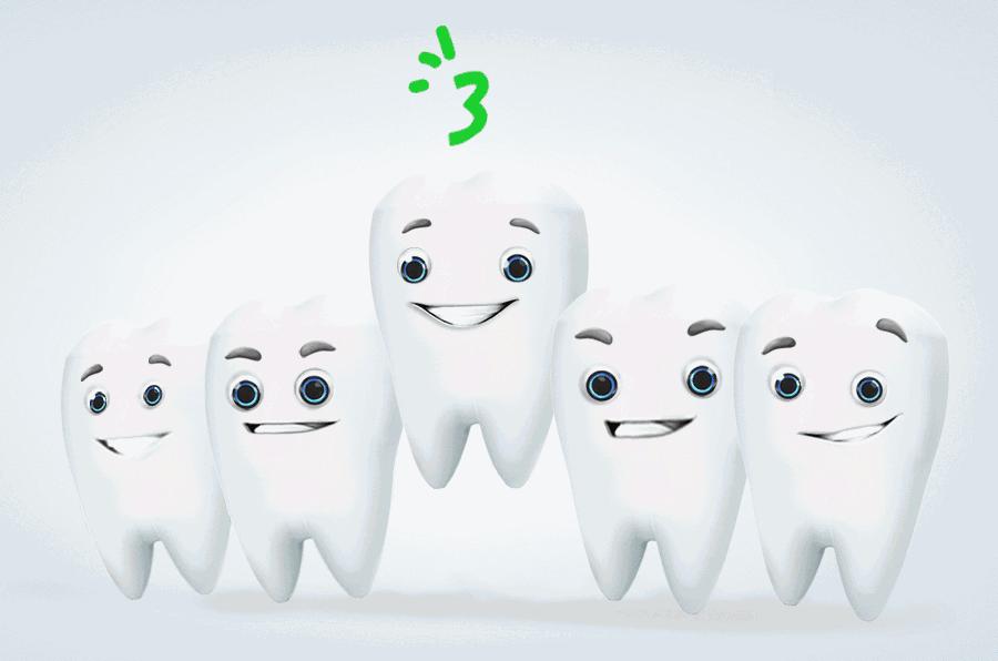 牙齿的名称及分类,牙齿残根专业名词