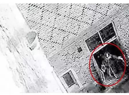 无法解释的诡异现象事件,科学也无法解释的诡异事件