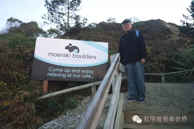 新西兰拉基圆石,摩拉基大圆石早上可以看得见吗