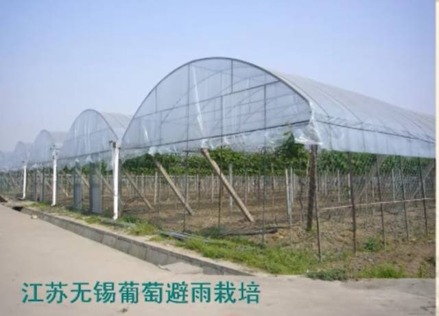 葡萄大棚材料哪里有,葡萄大棚都有什么配件