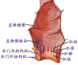 《妇科检查大全》及相关作用，女人，你值得拥有！