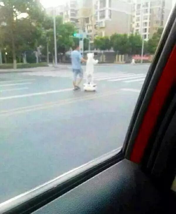 汝非瓜，焉知瓜之不应乎？