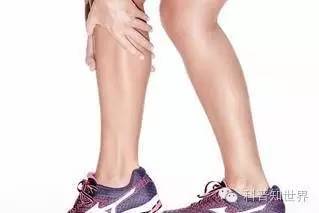 关于奥林匹克运动会的知识,奥林匹克运动会知识科普