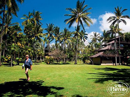 亲子游巴厘岛旅游攻略,去巴厘岛旅游攻略亲子游