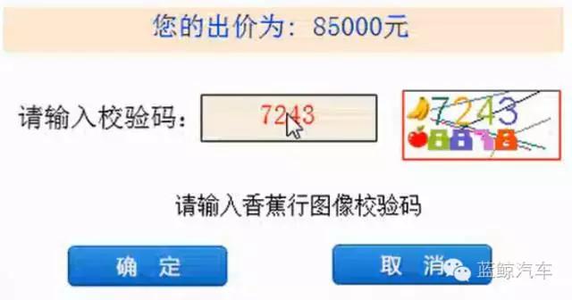 鲸点游玩攻略,鲸鲨一日游攻略