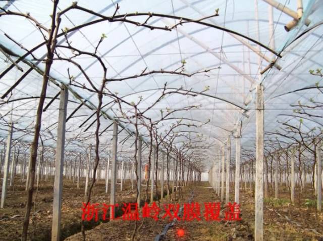 葡萄大棚材料哪里有,葡萄大棚都有什么配件