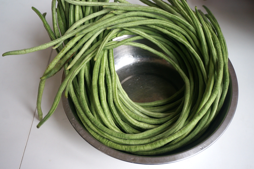 还在吃有防腐剂的酸豇角吗？跟我来学，保你5天吃上自制酸豇豆！