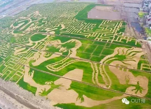 命苦！大南京最冤的一个区竟是它