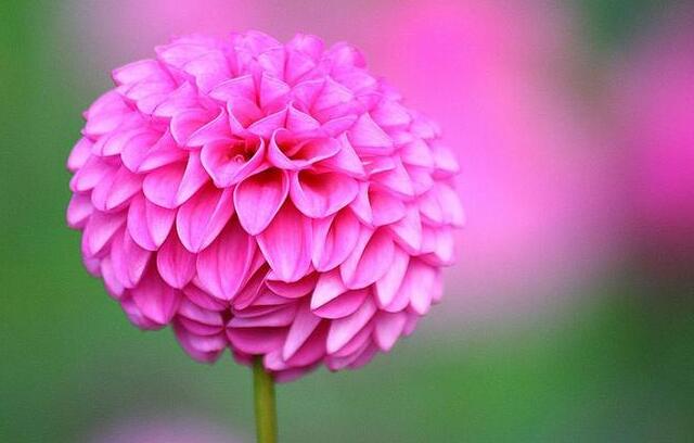 学英语用英汉词典还是汉英词典好,英汉双语词典如何使用