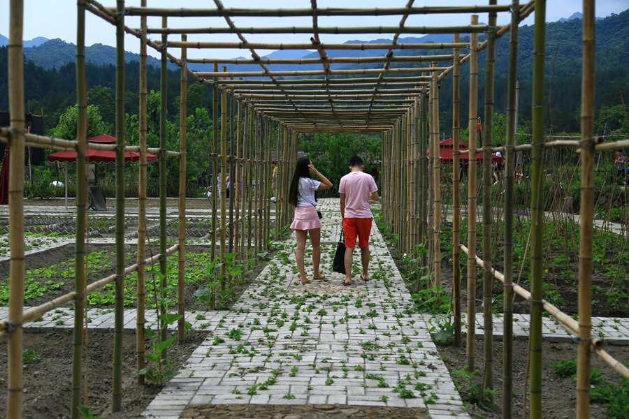 陕西旅游去哪儿玩,自驾游玩陕西
