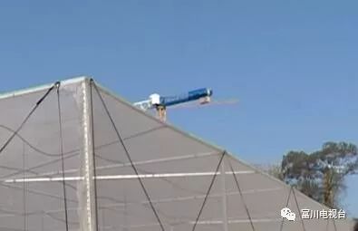 富川自家果园种植脐橙,最新富川脐橙果园