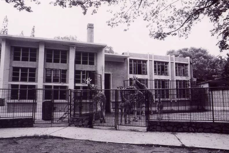 阿拉看环境｜还记得记忆中的西郊公园吗？