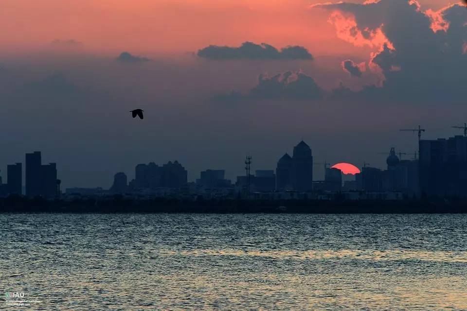 深度好文西*姑北**娘安家在苏州，讲述普通人如何赚到第一个一百万