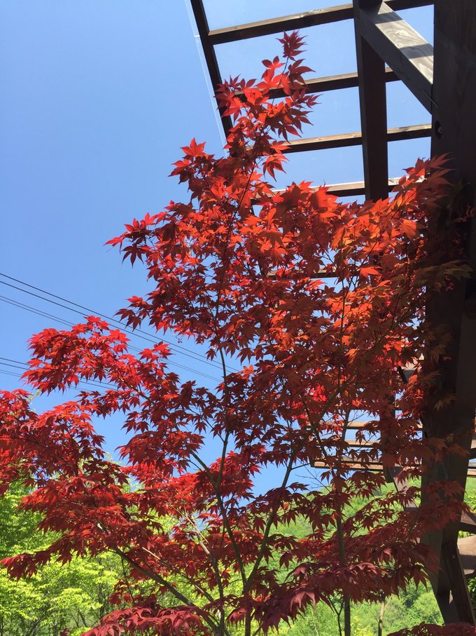 名古屋白川乡一日游,日本高山白川乡攻略