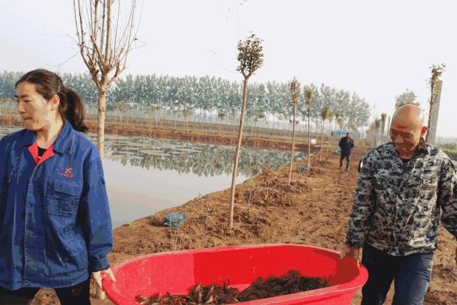 吃货200吨小龙虾,关庙镇小龙虾