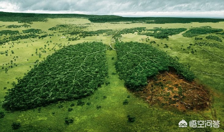 肺上有个洞吐出来的痰又臭又黑,轻微肺堵塞能咳出痰很浓的痰