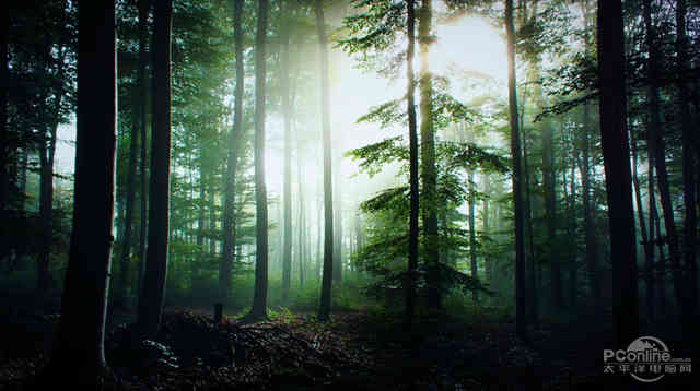 tcld55a730u电视,tcld55a9c曲面电视好吗