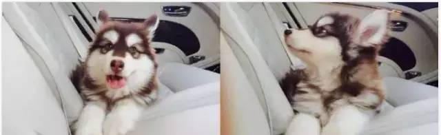 小财的直播间,小财直播录屏