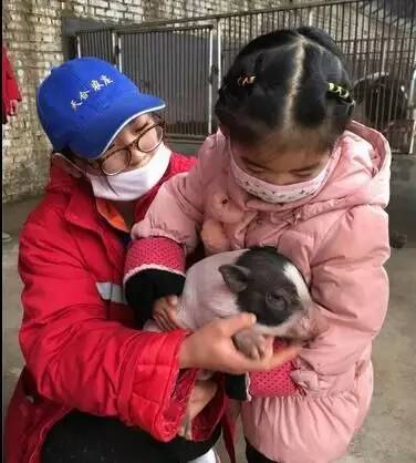 晚报亲子本周六再开蔬菜采摘喂小猪，小朋友抓紧报名啦