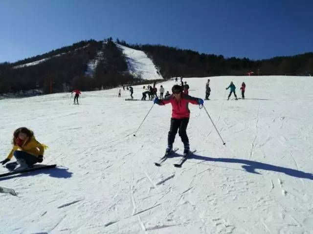 省内去神农架滑雪最全攻略,神农架滑雪攻略两天一夜