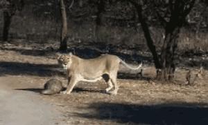 朋友圈里卖低价服装的真相,朋友圈代购真实案例