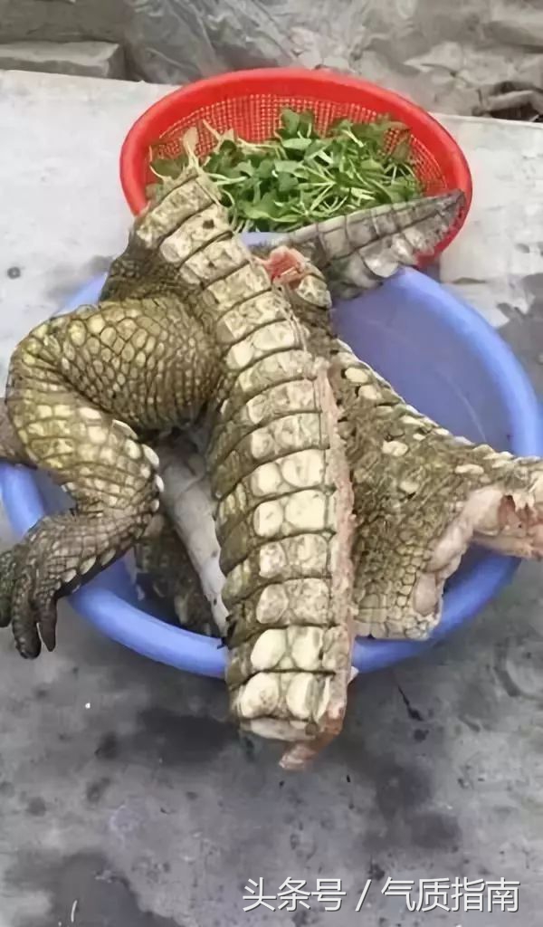 朋友圈里卖低价服装的真相,朋友圈代购真实案例