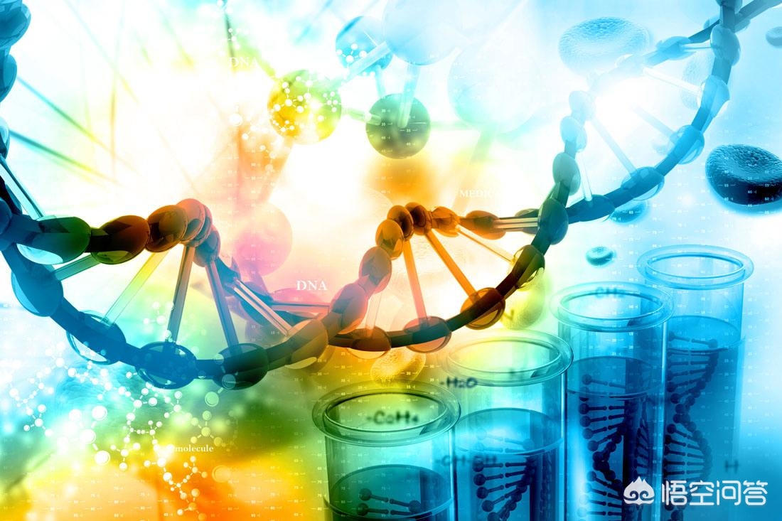 华大基因无创dna提示性染色体偏少,华大基因无创dna检测数值什么意思